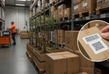 Dropshipping Graypoplar