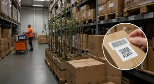 Dropshipping Graypoplar